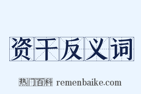 资干反义词是什么意思的图片